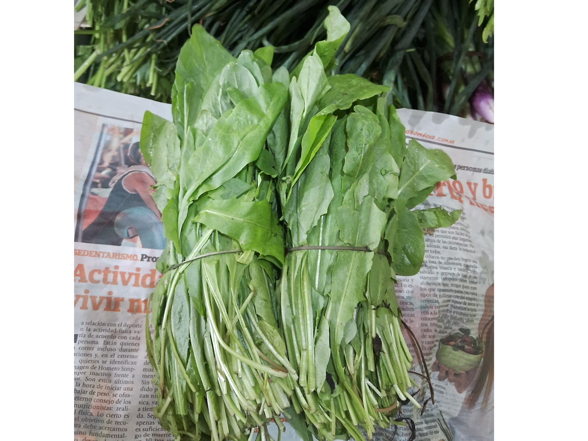 Radicheta x 3 atados