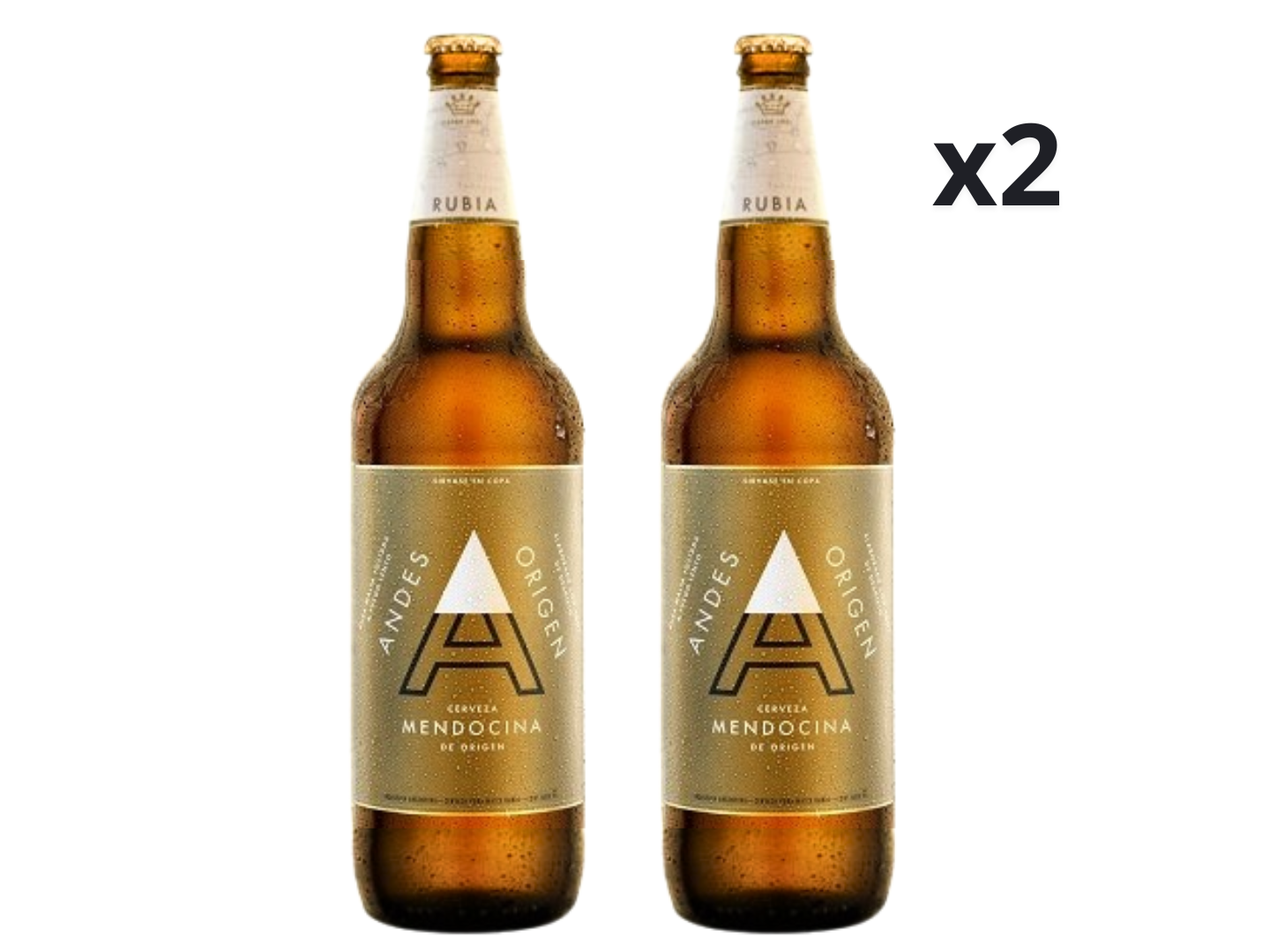 ANDES RUBIA 1L RETORNABLE x 2