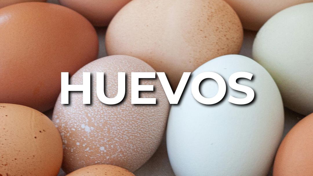 Huevos