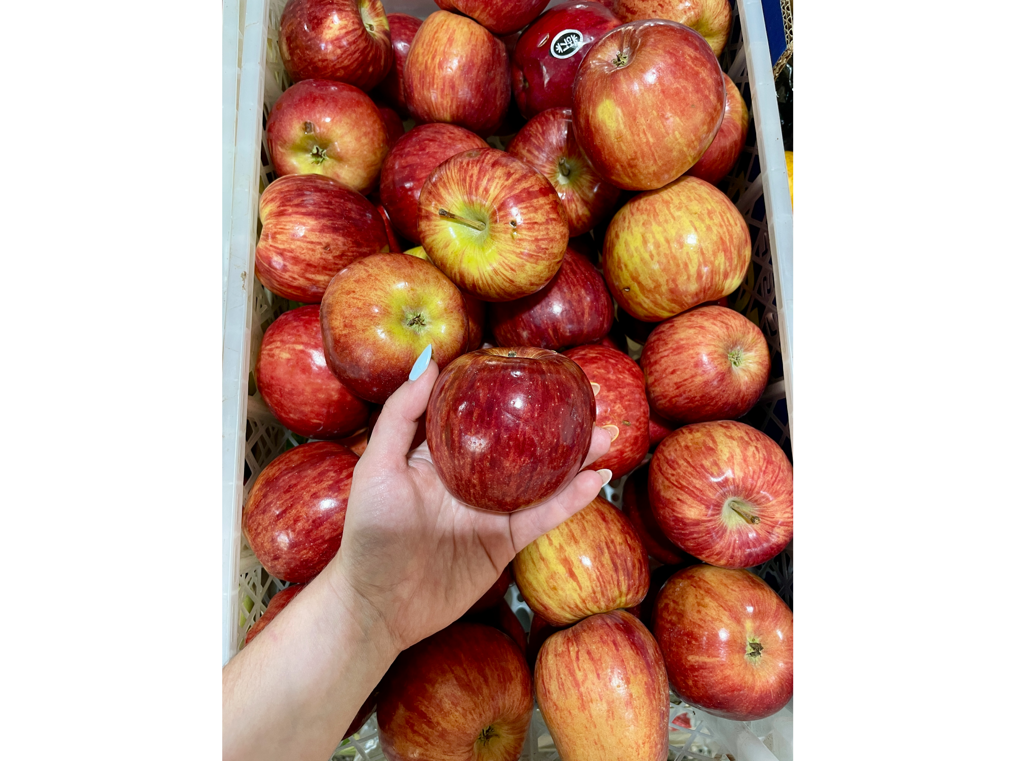 Manzana Red Delicius