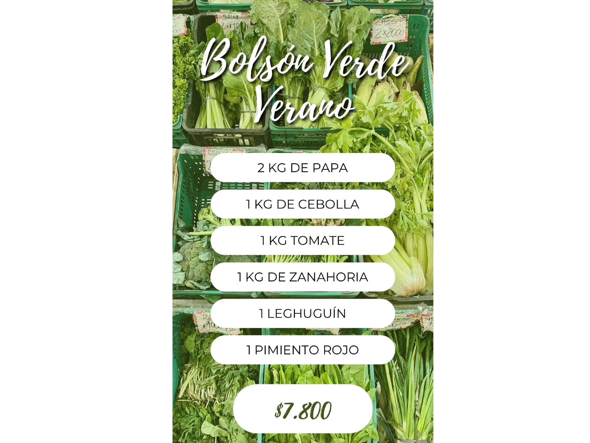 Bolsón Verde Verano