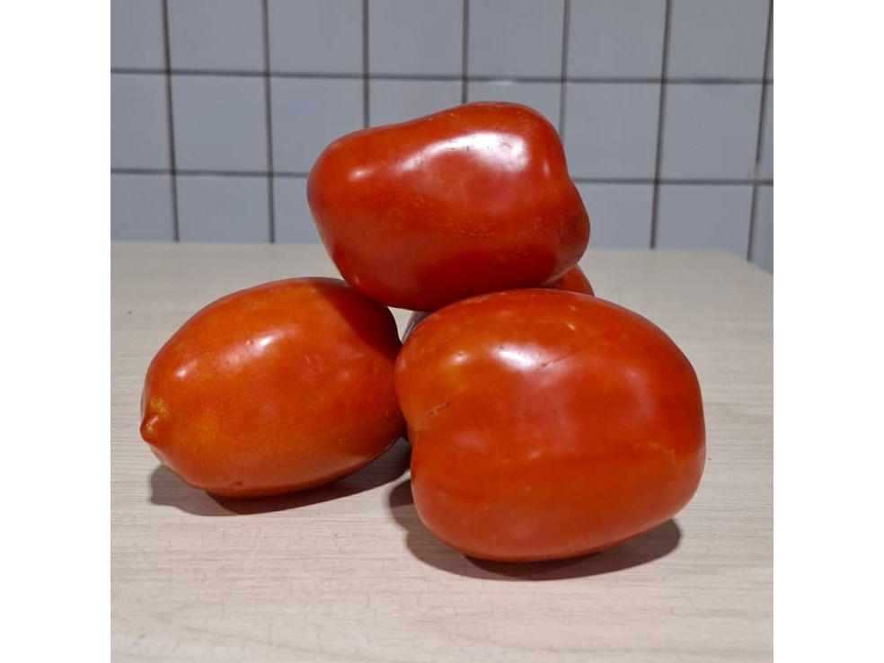 Tomate Perita