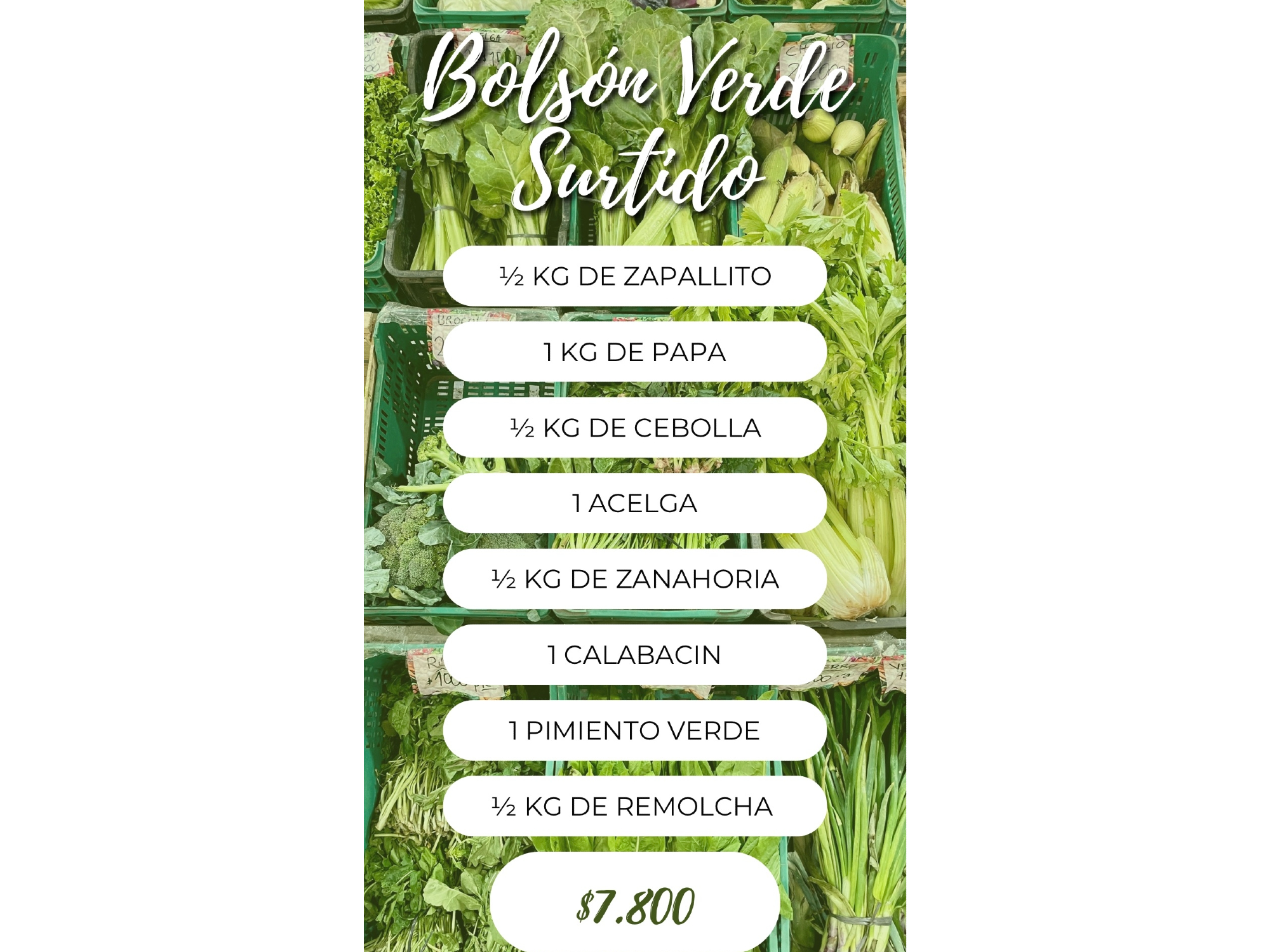 Bolsón Verde Surtido