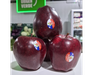 Manzana Chilena