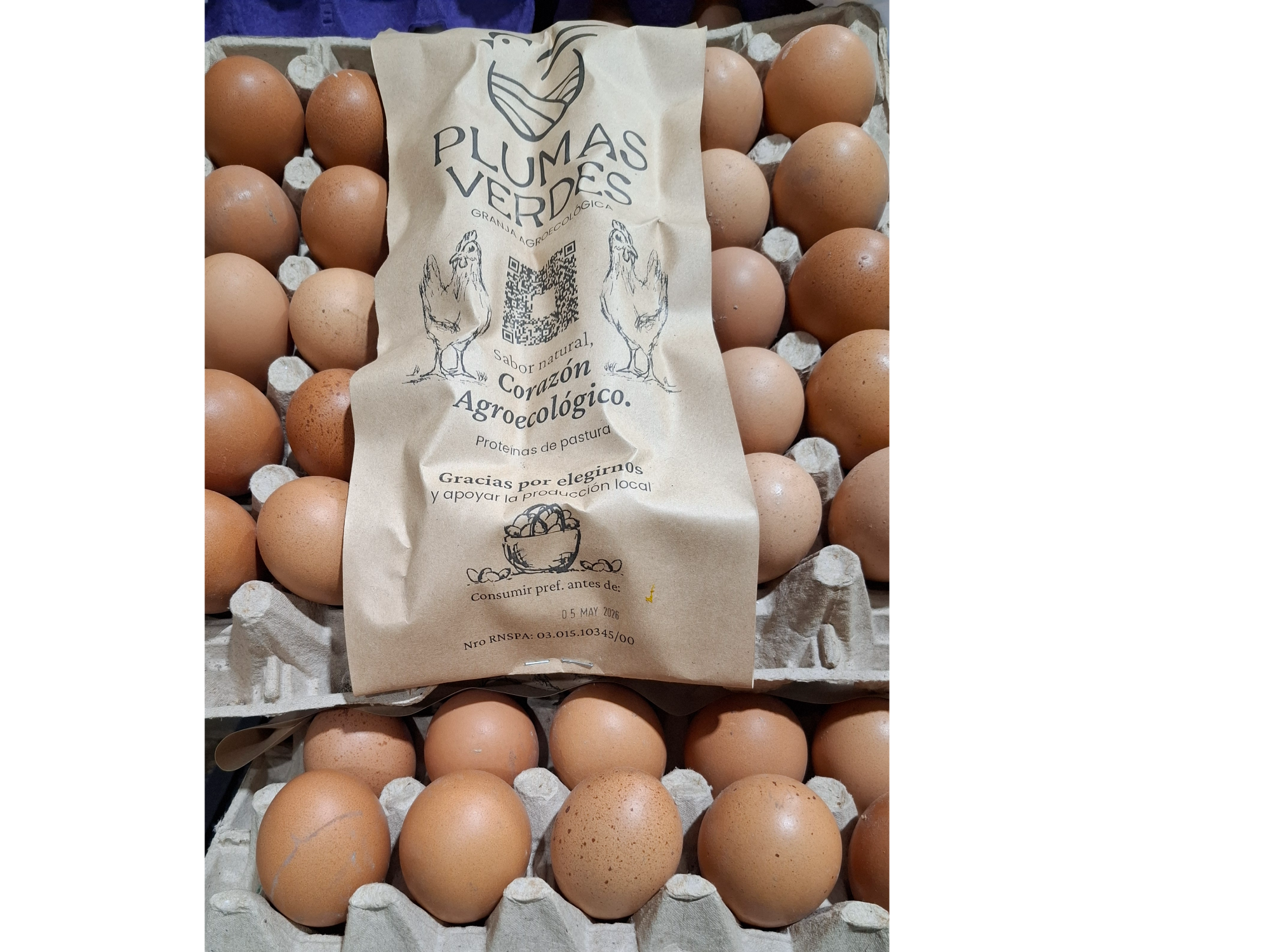 Huevos de gallinas Libres