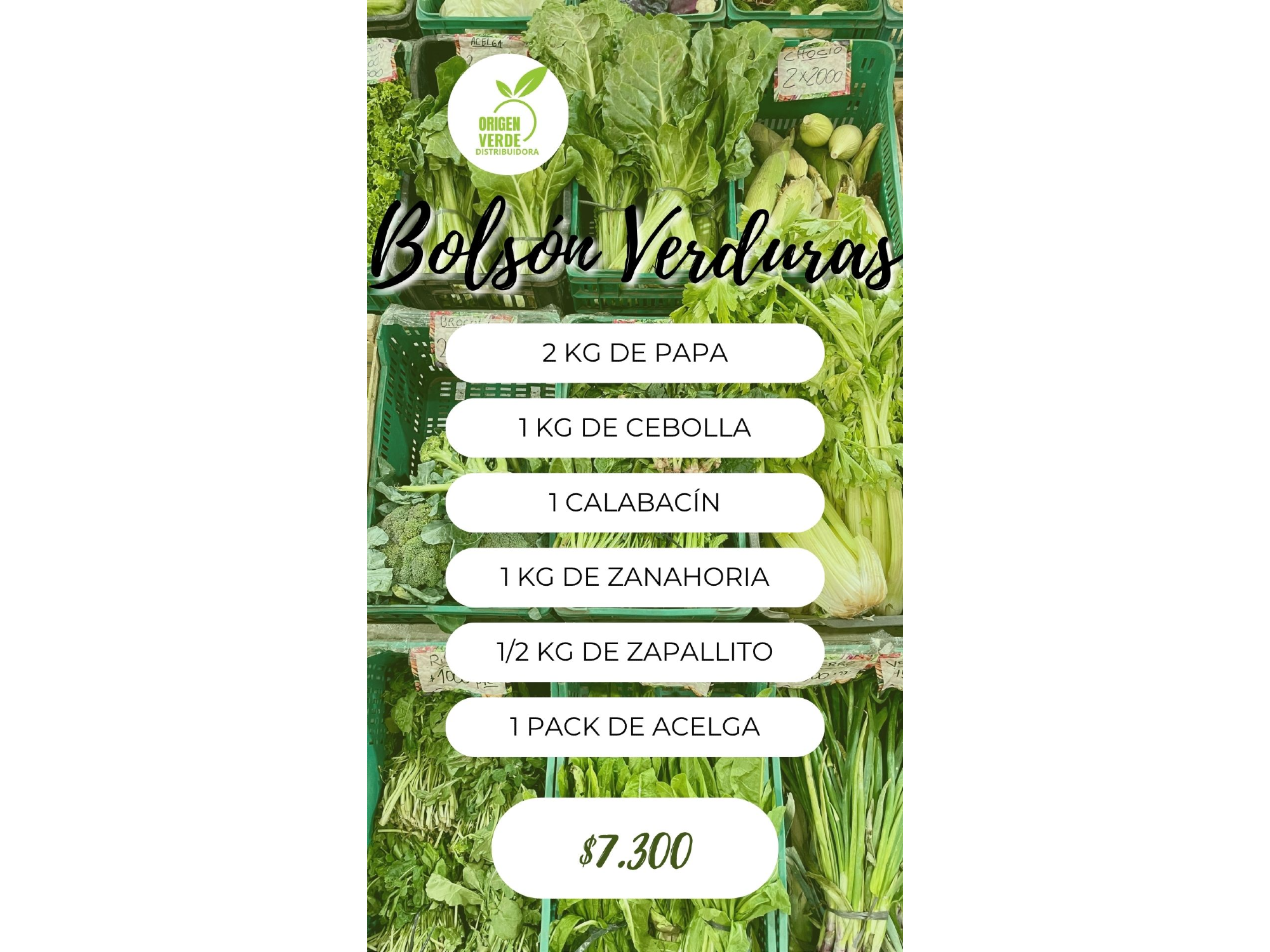 Bolsón Verduras