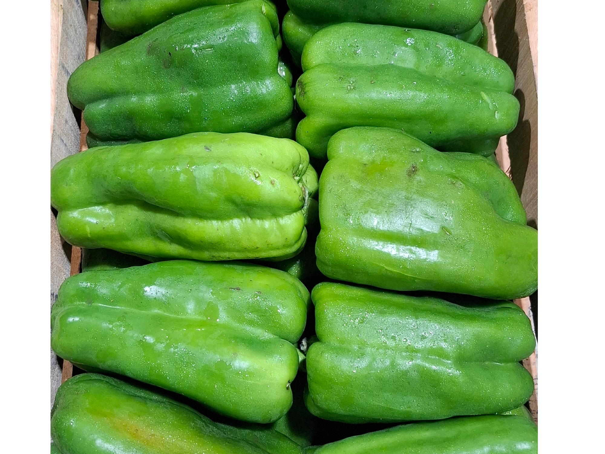 Pimiento Verde
