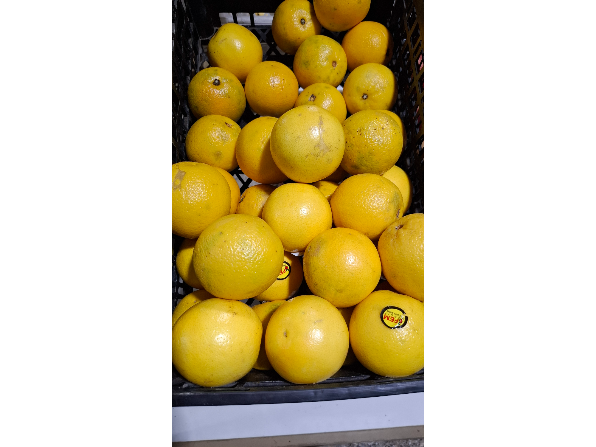 Naranja Jugo