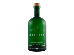 GIN ACONCAGUA VERDE