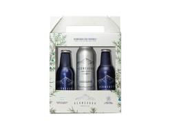 KIT GIN ACONCAGUA 2 GIN TONIC + 1 BOTELLA DE ALUMINIO