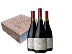 ZUCCARDI POLIGONOS MALBEC X3