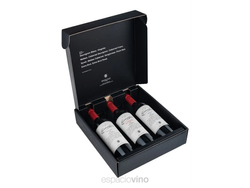 ESCORIHUELA GASCÓN X3