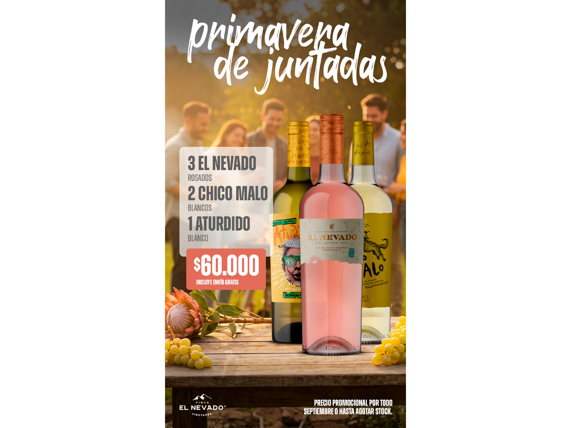 PRIMAVERA - Promo 2