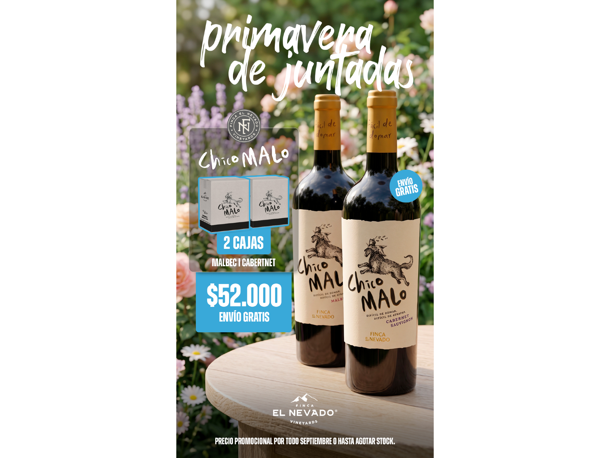 PRIMAVERA - Promo 4