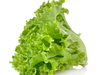 LECHUGA CRESPA por unidad