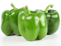 MORRON VERDE por kilo