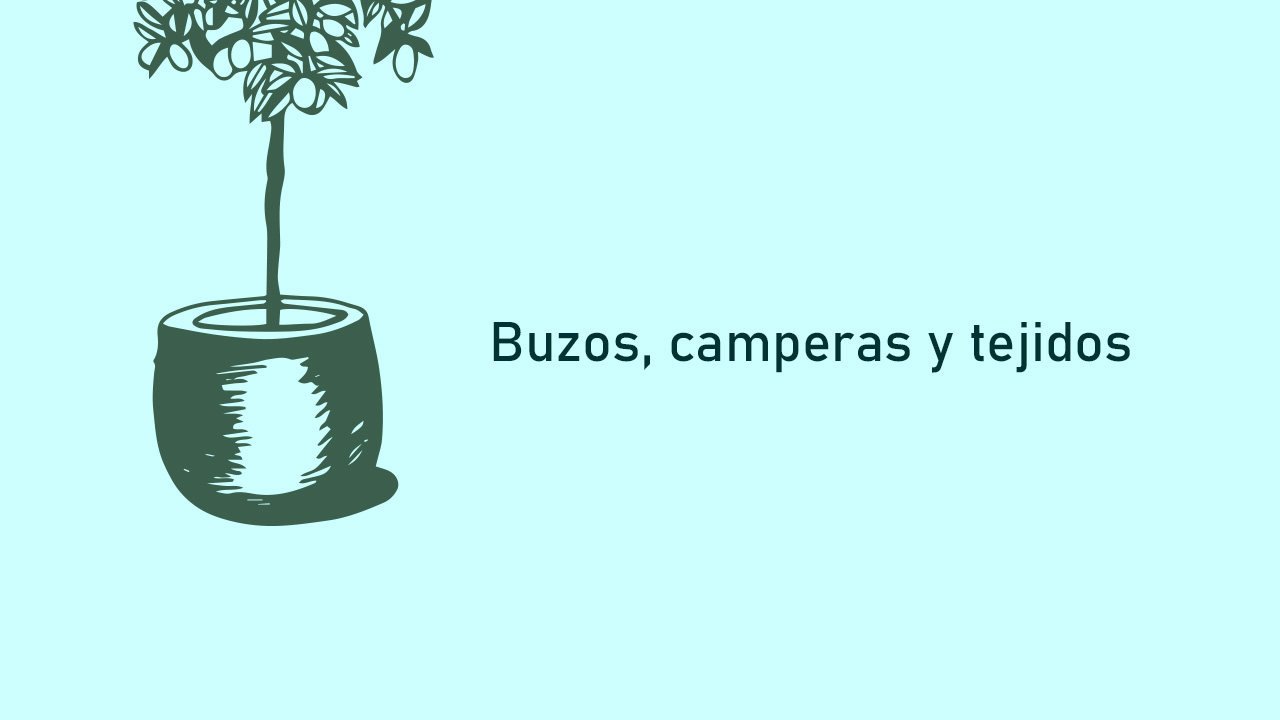 Buzos / camperas