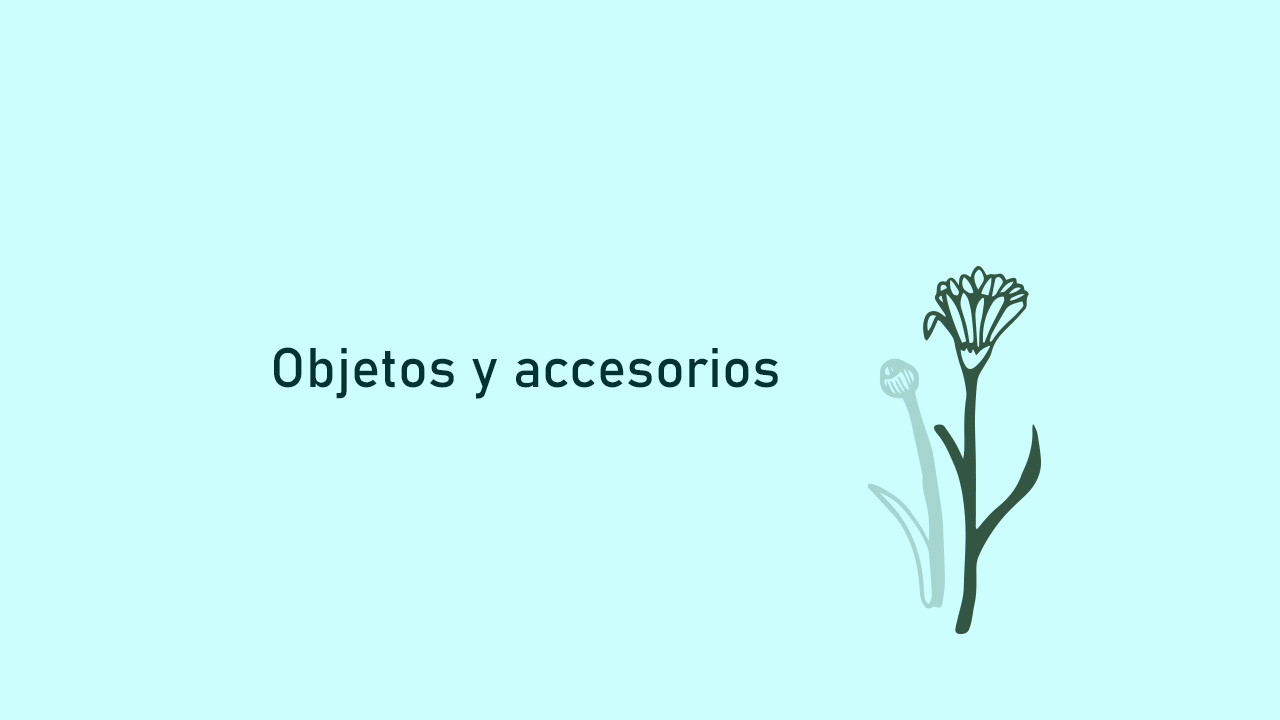 accesorios