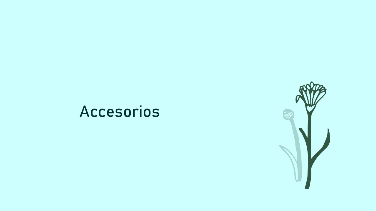 accesorios