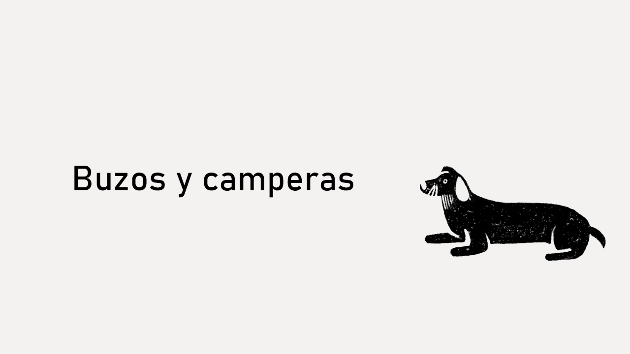 Buzos / camperas