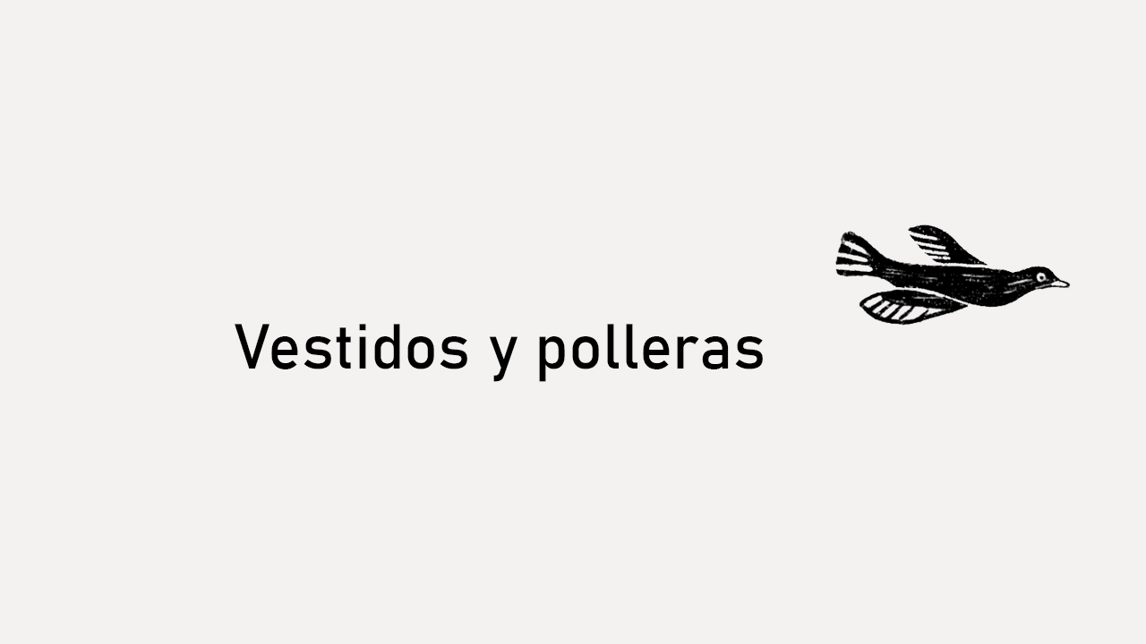 Vestidos y polleras