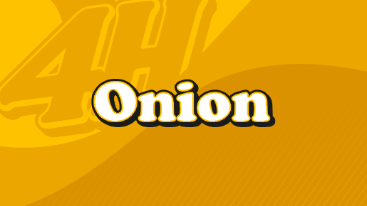 Onion