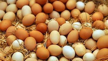 HUEVOS