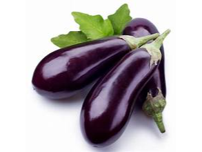 BERENJENA NEGRA