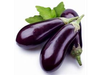 BERENJENA NEGRA