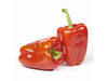 PIMIENTO ROJO