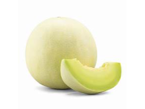 MELON