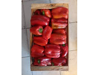 PIMIENTO ROJO CAJON