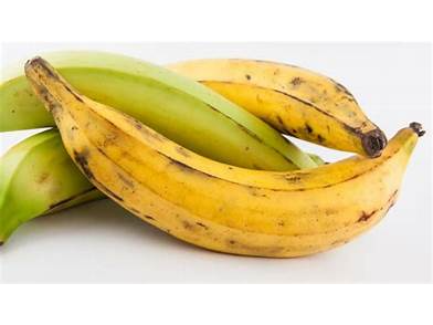 PLATANO