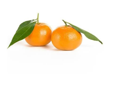 MANDARINA MOURCOT