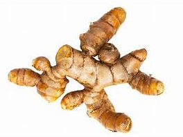 CURCUMA