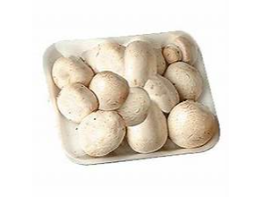 CHAMPIGNON BANDEJA