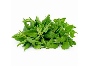 ESPINACA  VERANO