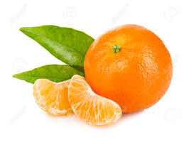 MANDARINA NOVA