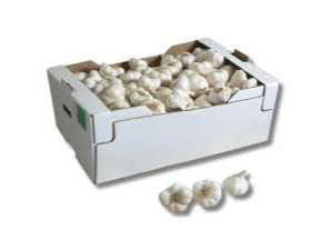 AJO EN CAJA