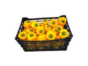 PIMIENTO AMARILLO CAJON