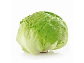 LECHUGA REPOLLADA