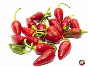 AJI PICANTE de PUNTOFRESCO