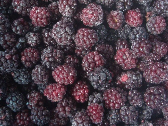 Moras