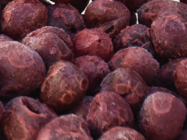 Producto de WildBerriesmayoristas