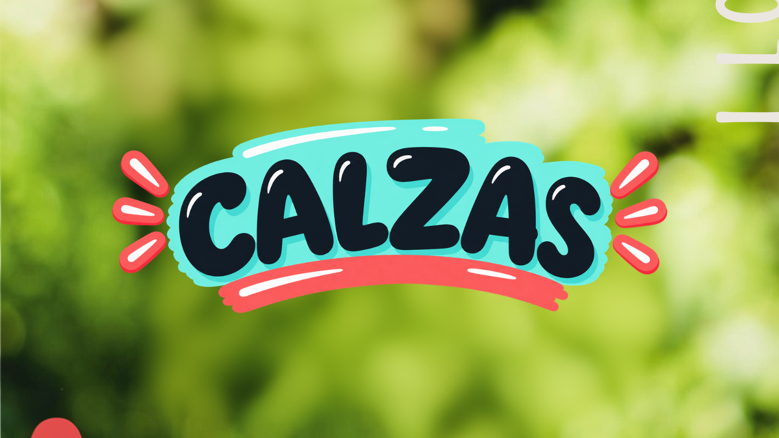 Calzas