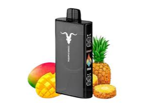 PINEAPPLE MANGO