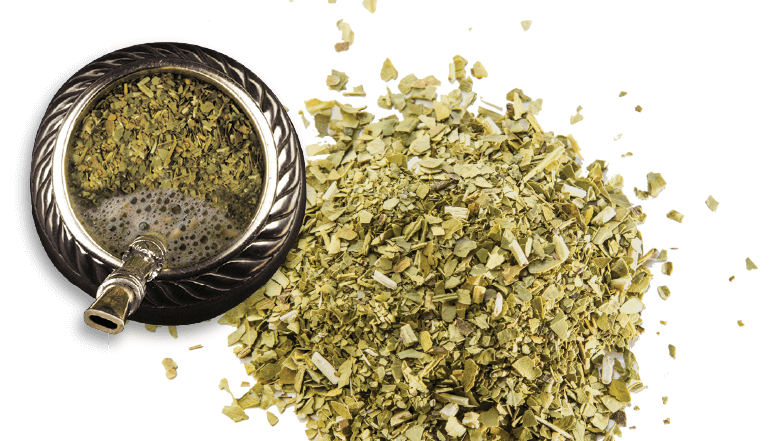 Yerba