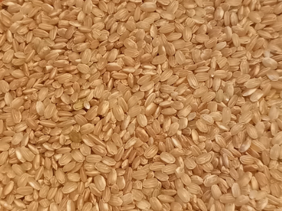 Arroz yamaní