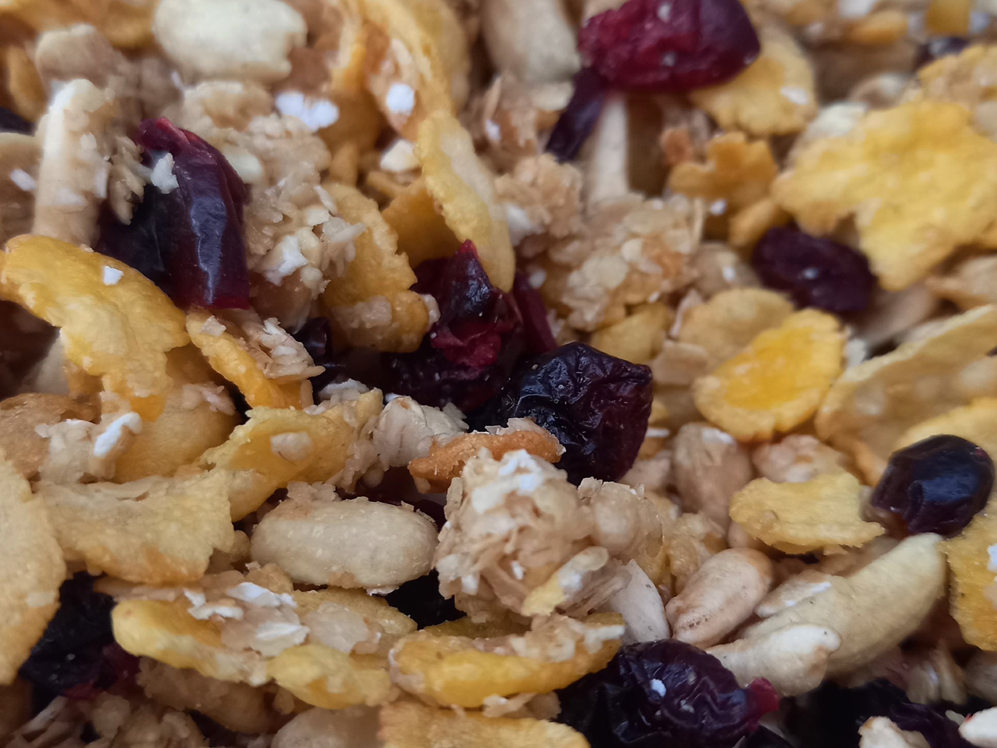 Granola con arándanos