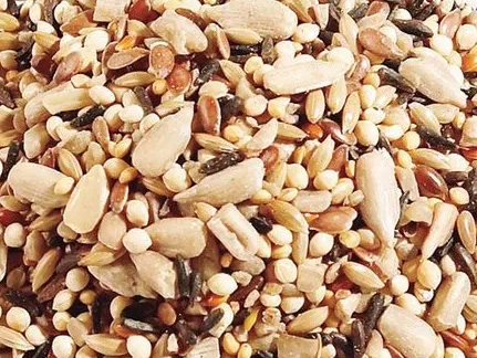 Mix semillas con chía